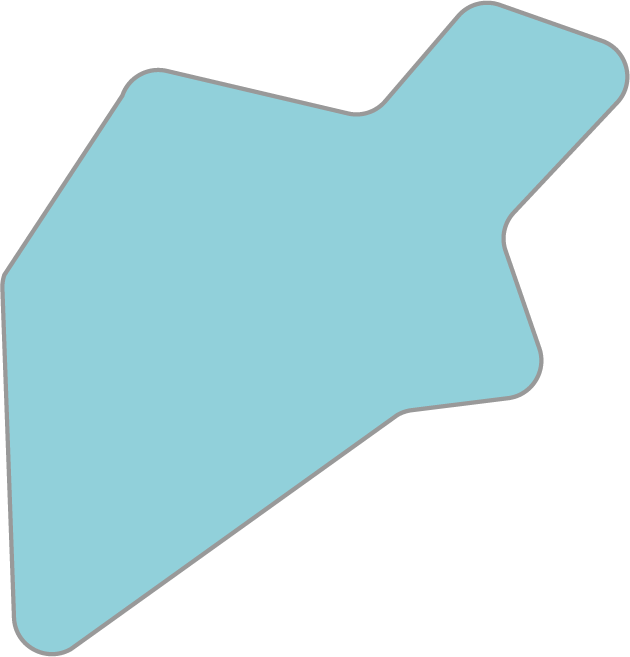 lexeffect Spider Chart